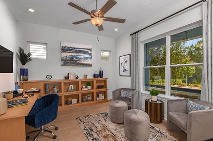 The Georgette - Study