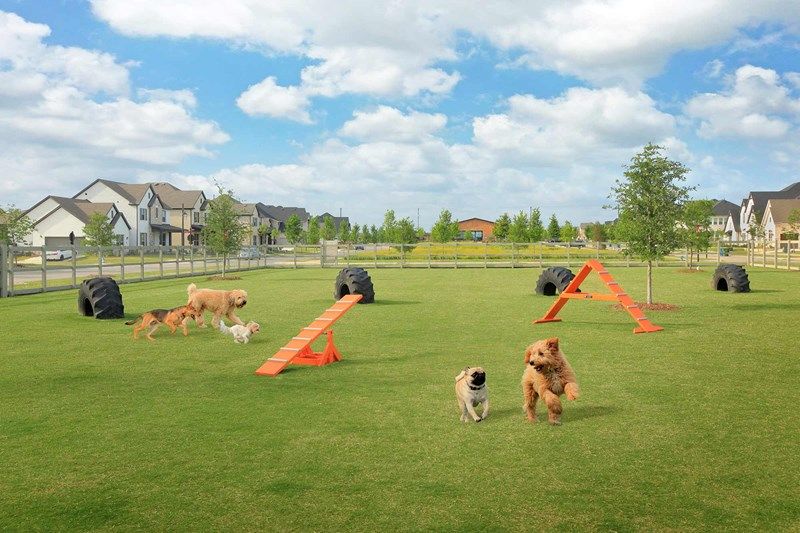 The Retreat at Harvest Gardens - Dog Park