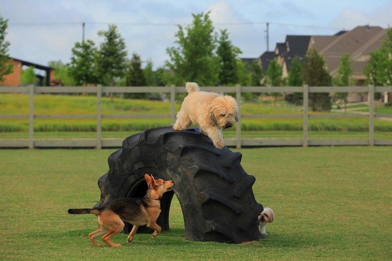 The Retreat at Harvest Gardens - Dog Park