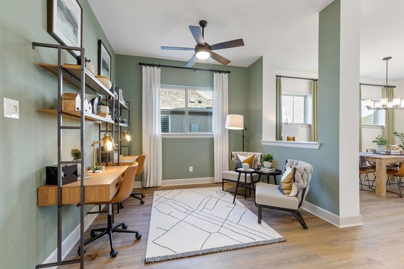 The Forreston - Study