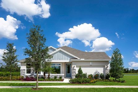 Whaler by David Weekley Homes in Tampa-St. Petersburg FL