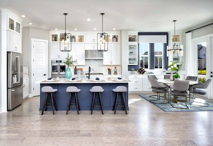 The Forrest - Kitchen