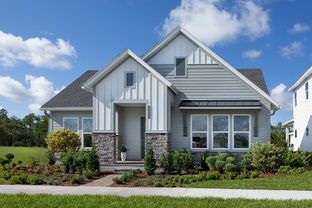 Annie Eliza - Seven Pines 50' Rear Entry: Jacksonville, Florida - David Weekley Homes