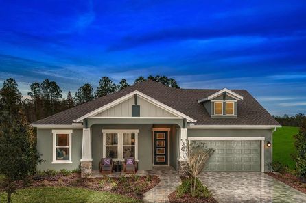 Tangelo by David Weekley Homes in Tampa-St. Petersburg FL