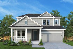 Saw Mill - Seven Pines 50' Front Entry: Jacksonville, Florida - David Weekley Homes
