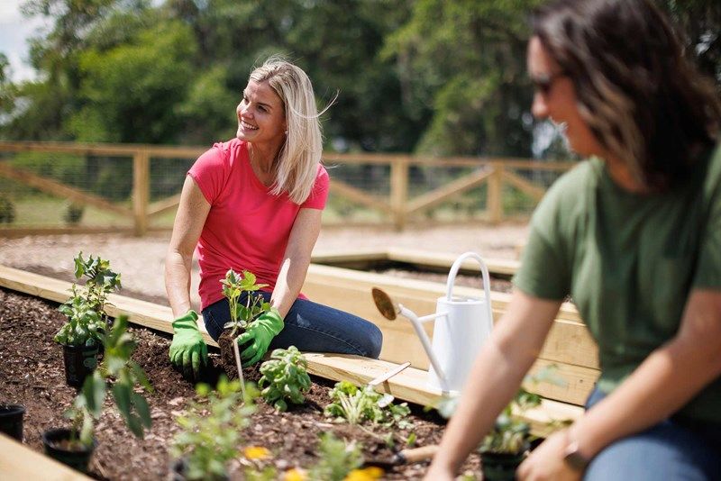Weslyn Park in Sunbridge - Garden