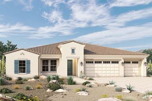 Brownell - Canyon Views – 80’ Paradise Series: Litchfield Park, Arizona - David Weekley Homes