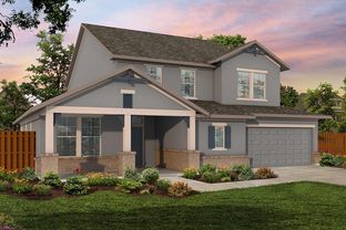 Palomar - Davis Ranch 60': San Antonio, Texas - David Weekley Homes