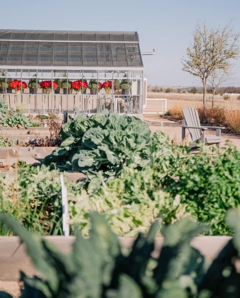Walsh - Vegetable Garden