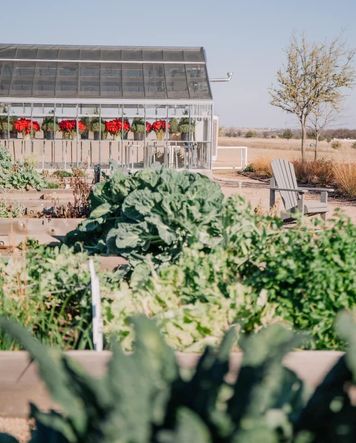 Walsh - Vegetable Garden