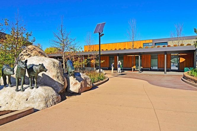 Minnesota Zoo