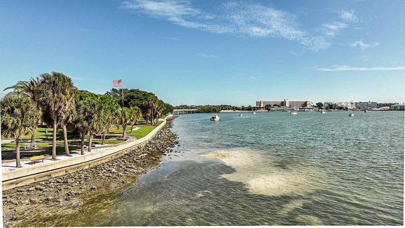 Fred Held South Pasadena Habitat