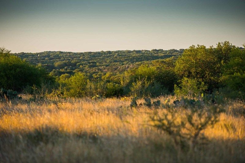 La Cima - Hill Country