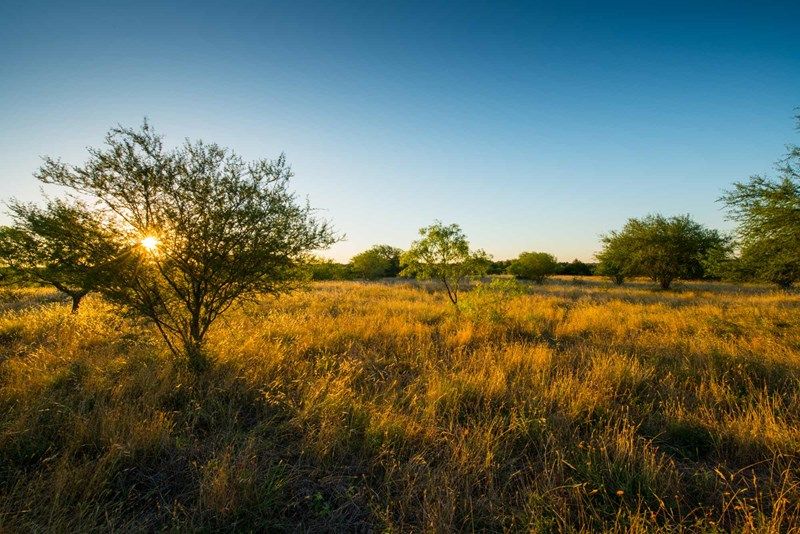 San Marcos Hill Country