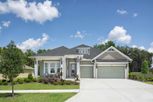 Home in Carmela by David Weekley Homes