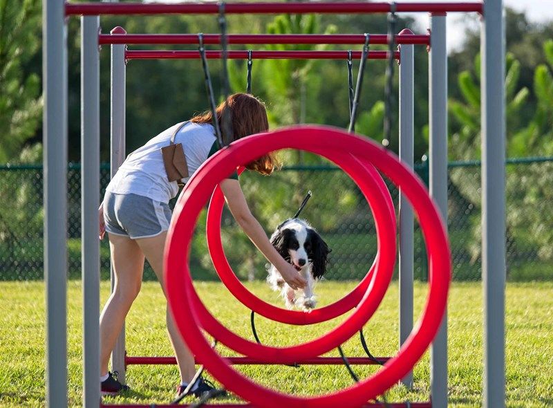 Emerald Landing at Waterside at Lakewood Ranch - Dog Park
