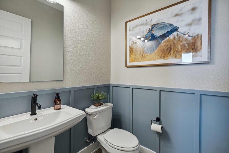 The Hastin - Bath