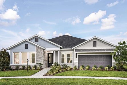 Polluck by David Weekley Homes in Tampa-St. Petersburg FL