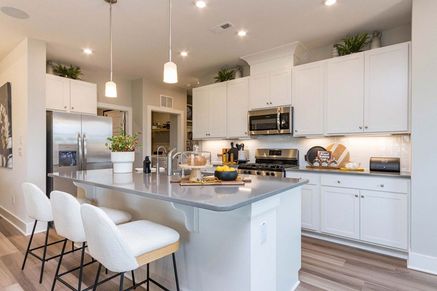 The Ambition - Kitchen