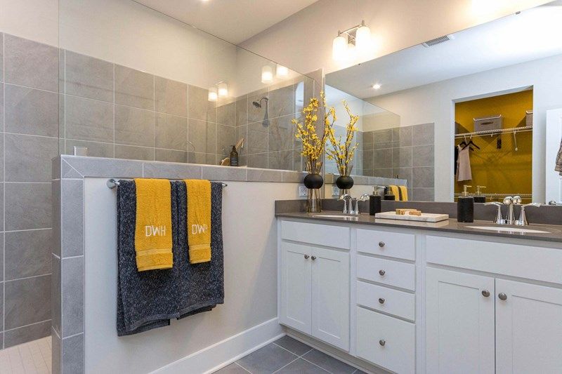 The Ambition - Owner's Bath