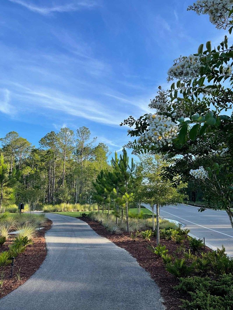 Tributary 50' - Nature Path