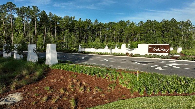 Tributary 50' - Entrance