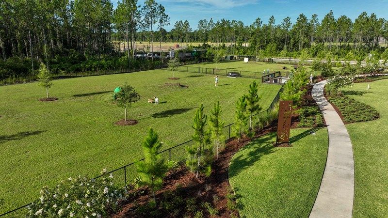 Tributary 50' - Dog Park