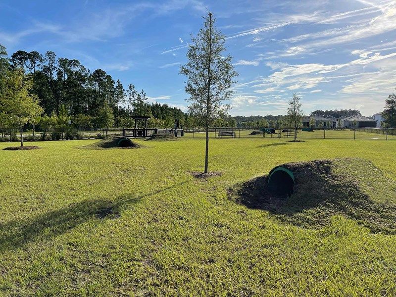 Tributary 50' - Dog Park