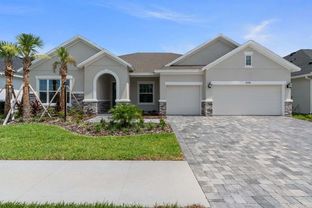 Berkford - Copeland Creek: Odessa, Florida - David Weekley Homes