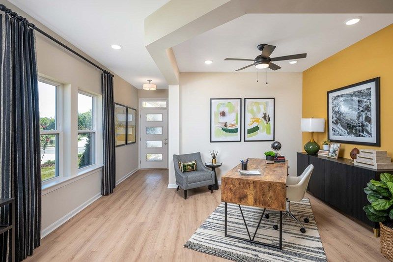 The Cavalier - Study