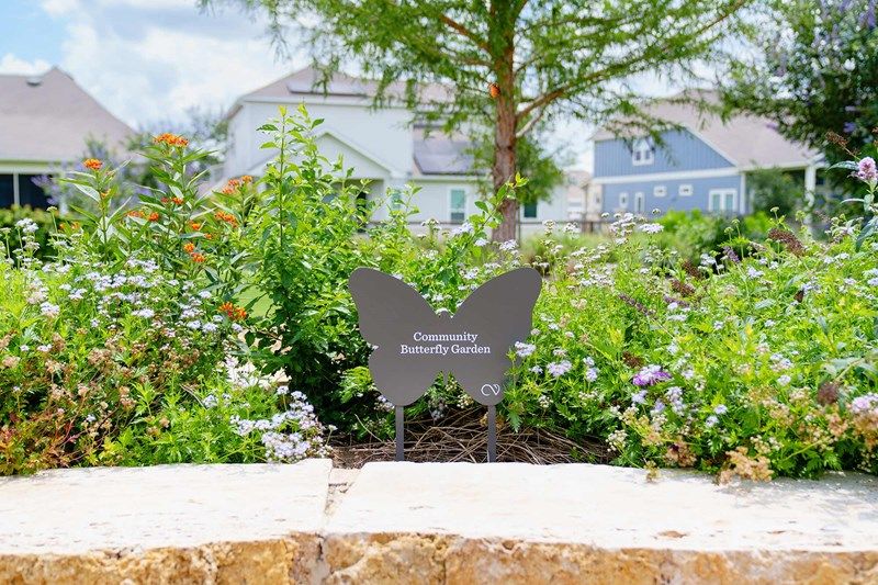 The Crossvine - Butterfly Garden