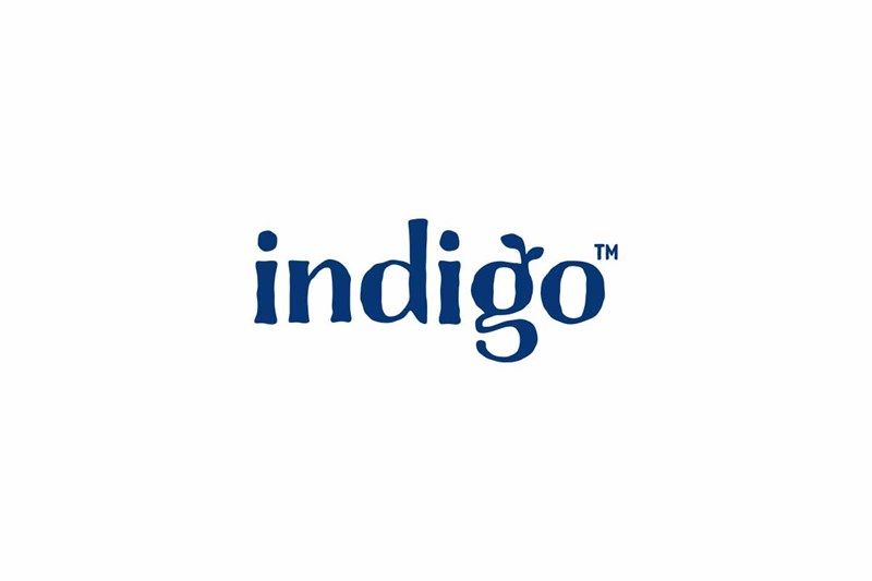 Indigo in Richmond, TX