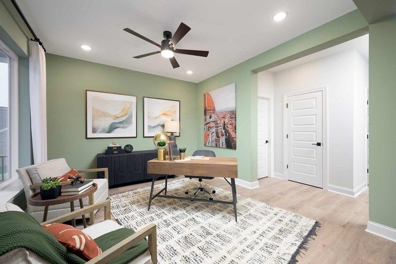 The Satinwood - Study