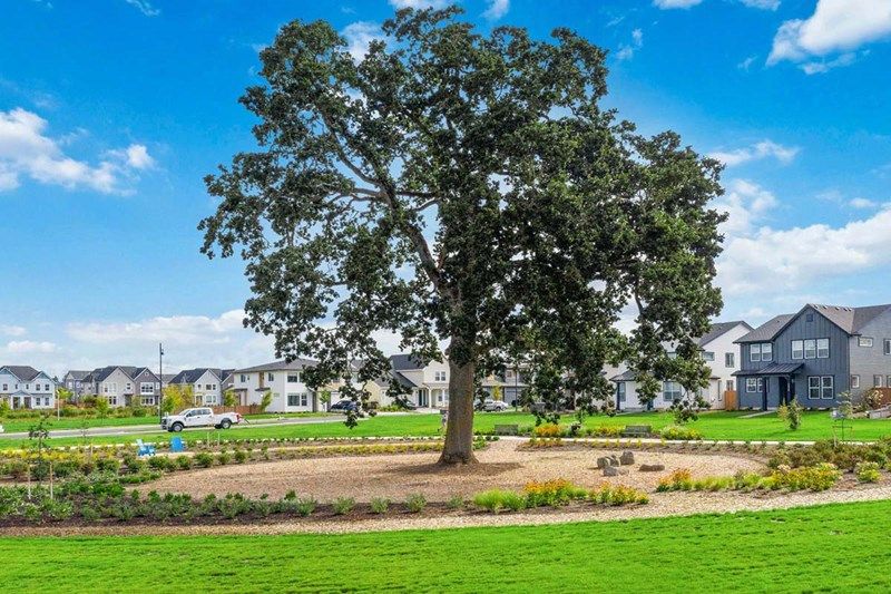 Reed's Crossing - The Enclave Series