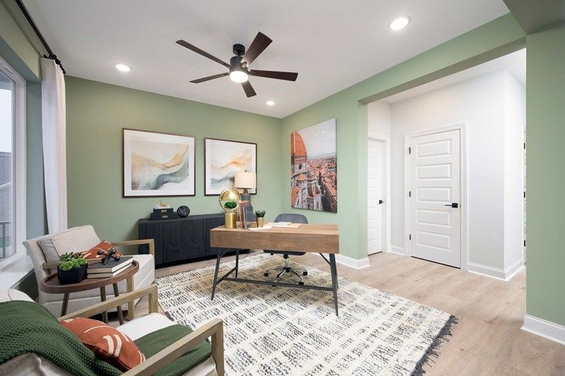 The Satinwood - Study