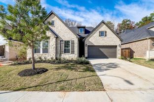 Omni - Grand Central Park 55' Homesites: Conroe, Texas - David Weekley Homes