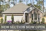 Home in The Woodlands Hills 45' by David Weekley Homes