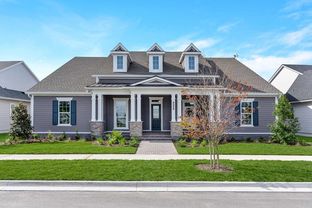 Hamelfield - Seven Pines 70' Rear Entry: Jacksonville, Florida - David Weekley Homes