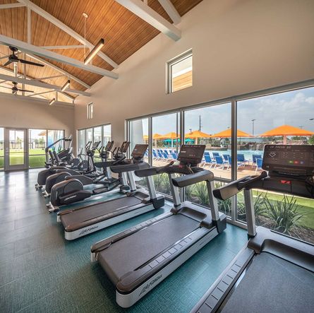 Meridiana - Adventure Cove