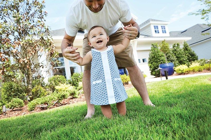 Brixton Park - Coming Soon