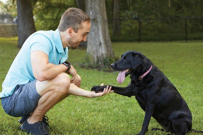 Brixton Park - Coming Soon