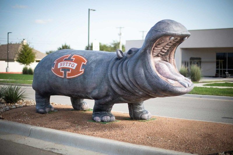 Hutto Hippo Statue