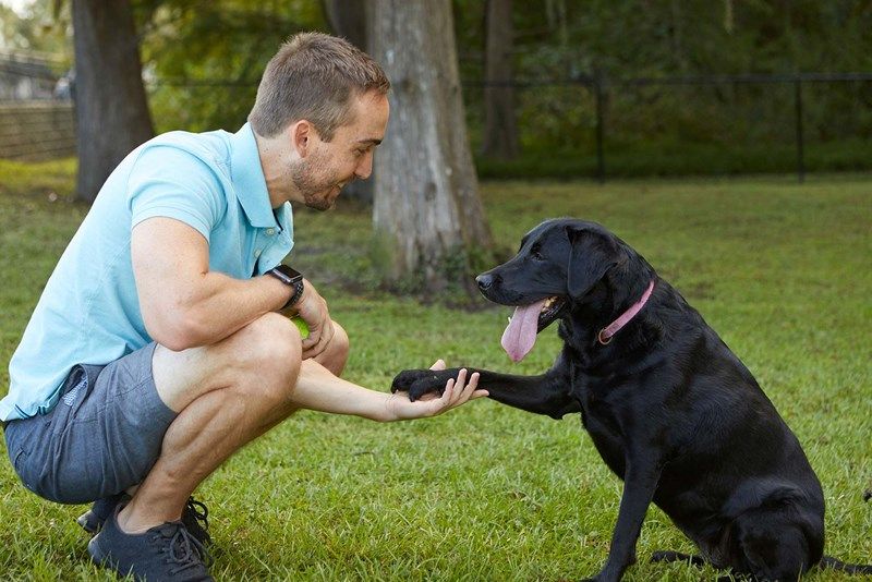 John's Lake North Amenities