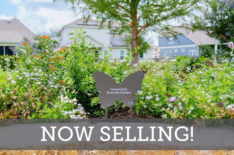 The Crossvine 65’ in Schertz, TX New Homes by David Weekley Homes