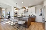 Solterra - Cottage Series - Mesquite, TX