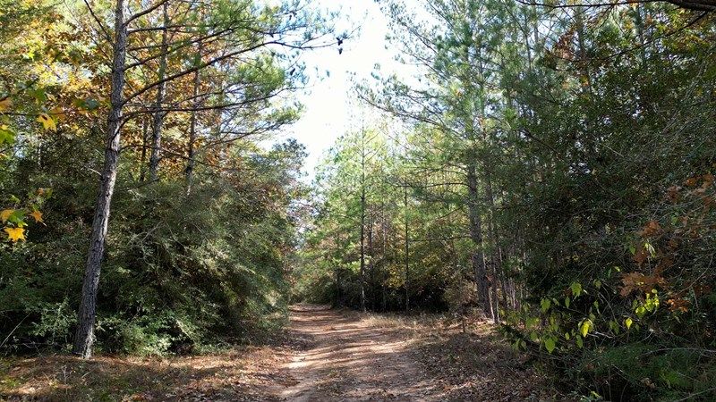 Magnolia, Texas