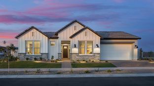 Woodbury - Escena at Blossom Rock: Apache Junction, Arizona - David Weekley Homes