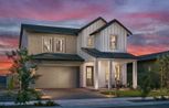 Harvest – Meadows Collection - Queen Creek, AZ