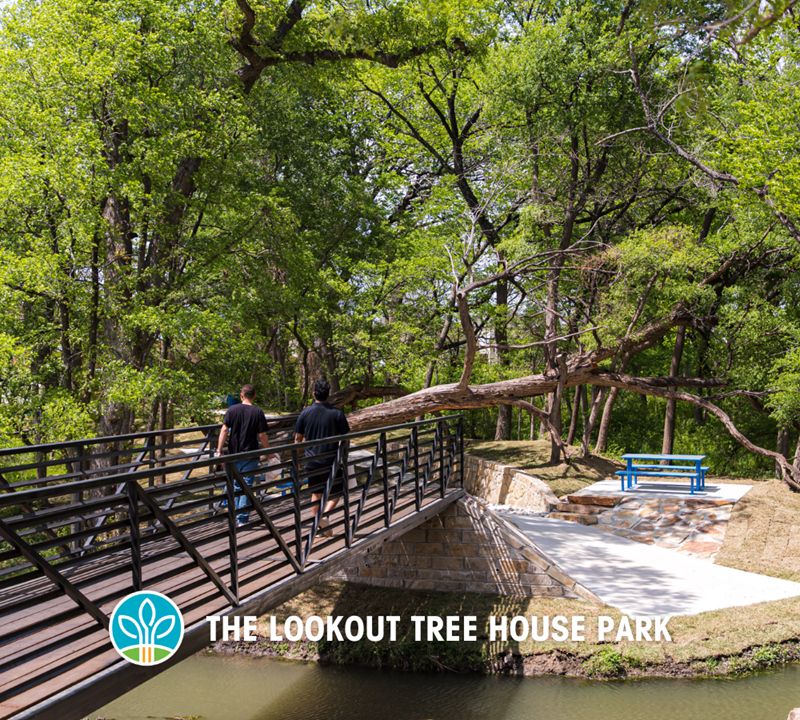 Solterra - Lookout Tree House