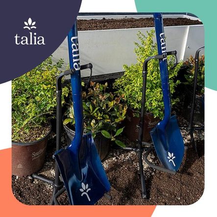 Talia - Groundbreaking